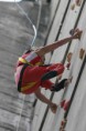 /album/galleria-fotografica/biss-jpg/